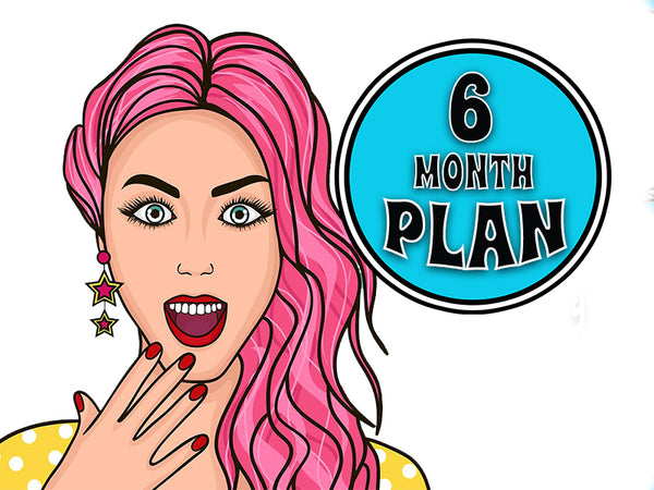 6 Month Plan