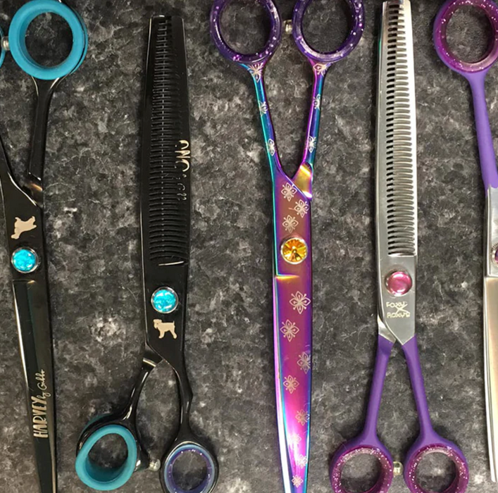 Scissor of the Month Club  Dog grooming shears subscription box